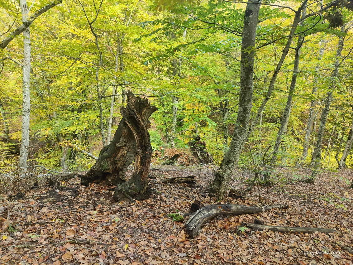 Вдоль экотропы к водопаду Джур-Джур на реке Улу-узень по территории гос. природного гидрологического заказника регионального значения «Хапхальский».