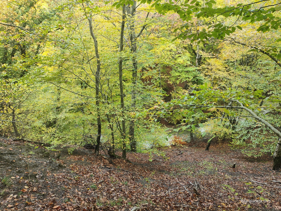 Вдоль экотропы к водопаду Джур-Джур на реке Улу-узень по территории гос. природного гидрологического заказника регионального значения «Хапхальский».
