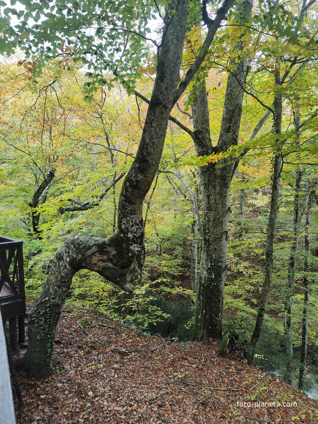 Вдоль экотропы к водопаду Джур-Джур на реке Улу-узень по территории гос. природного гидрологического заказника регионального значения «Хапхальский».
