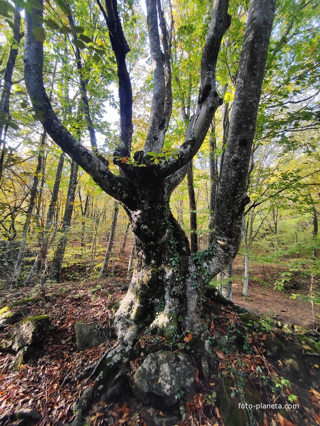 Рядом с началом экотропы к водопаду Джур-Джур на реке Улу-узень по территории гос. природного гидрологического заказника регионального значения «Хапхальский».