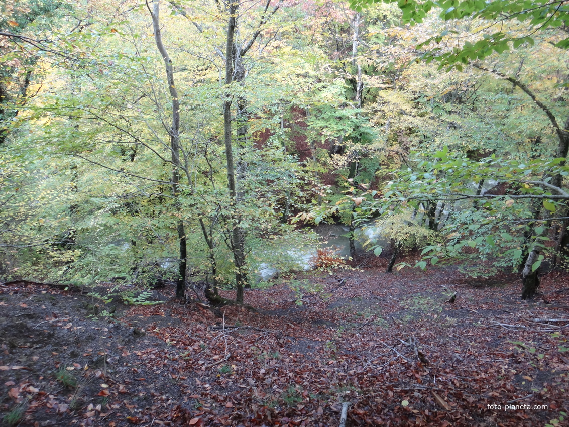 Рядом с началом экотропы к водопаду Джур-Джур на реке Улу-узень по территории гос. природного гидрологического заказника регионального значения «Хапхальский».