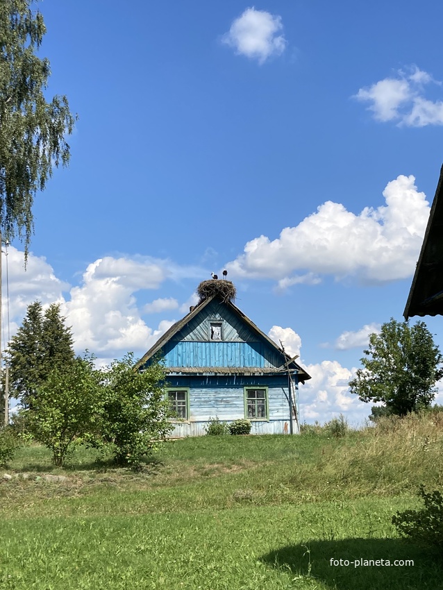 Хатка і буслы ў вёсцы