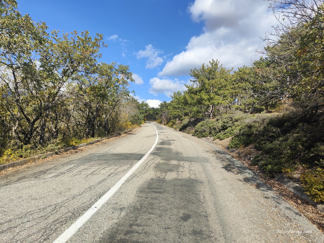 Дорога от Алуштинского шоссе к СОСЛ МЭИ "Алушта".
