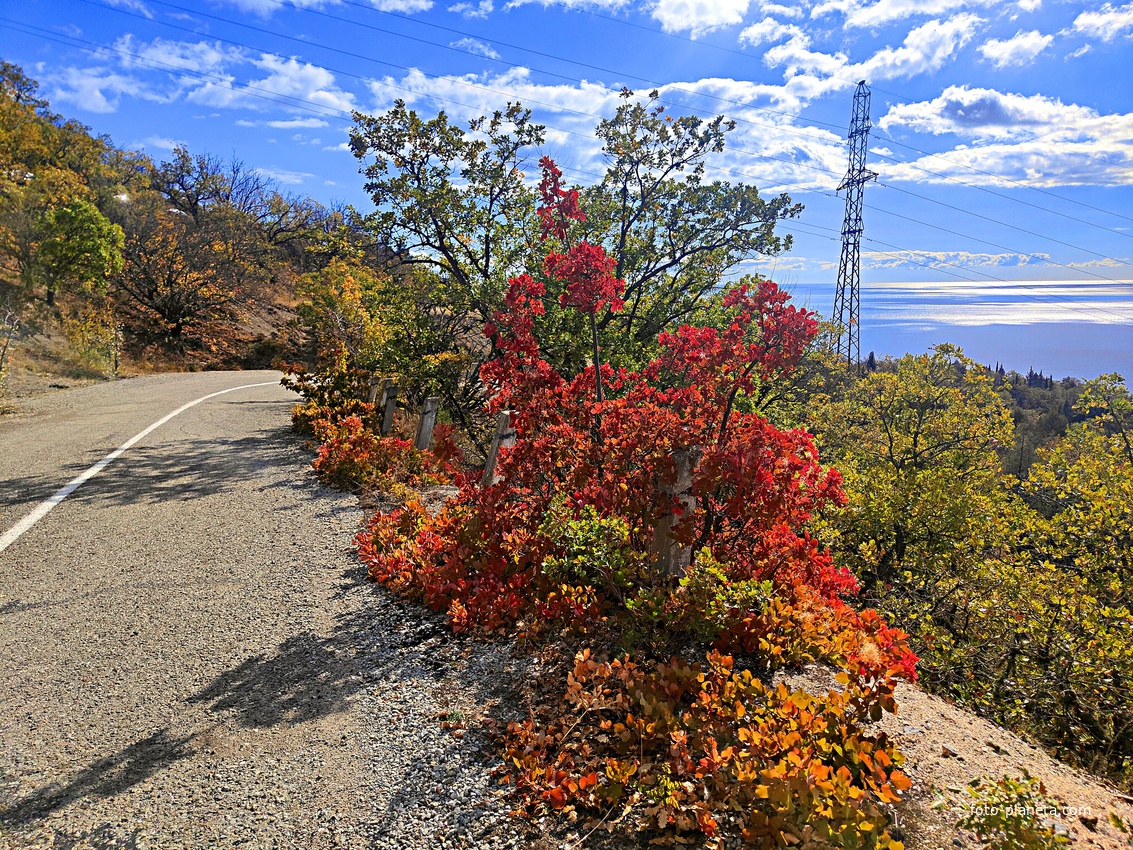 Вдоль дороги к СОСЛ МЭИ "Алушта" у побережья.