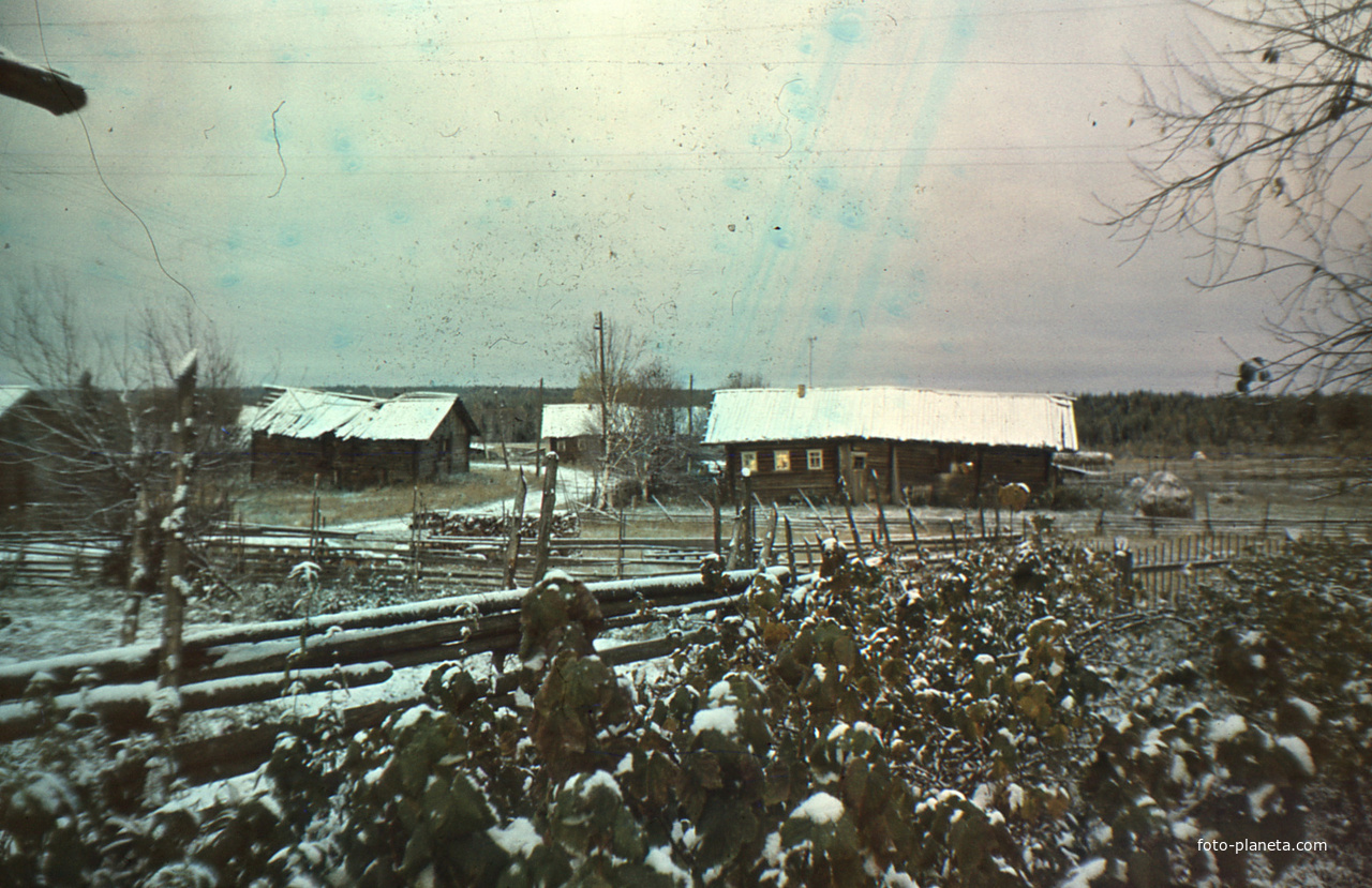 Деревня Петраково, Устьянский район, Архангельская область