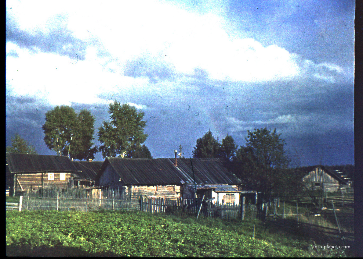 Деревня Петраково, Устьянский район, Архангельская область