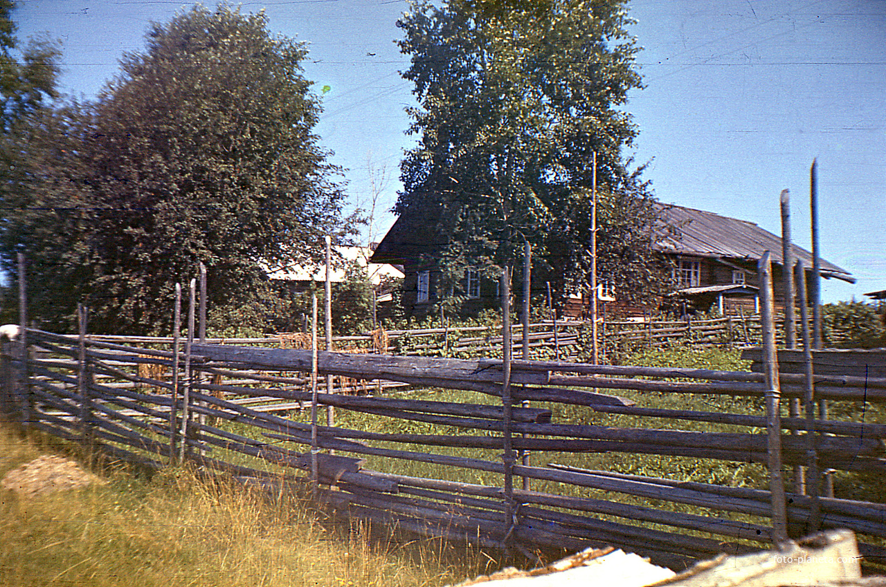Деревня Петраково, Устьянский район, Архангельская область