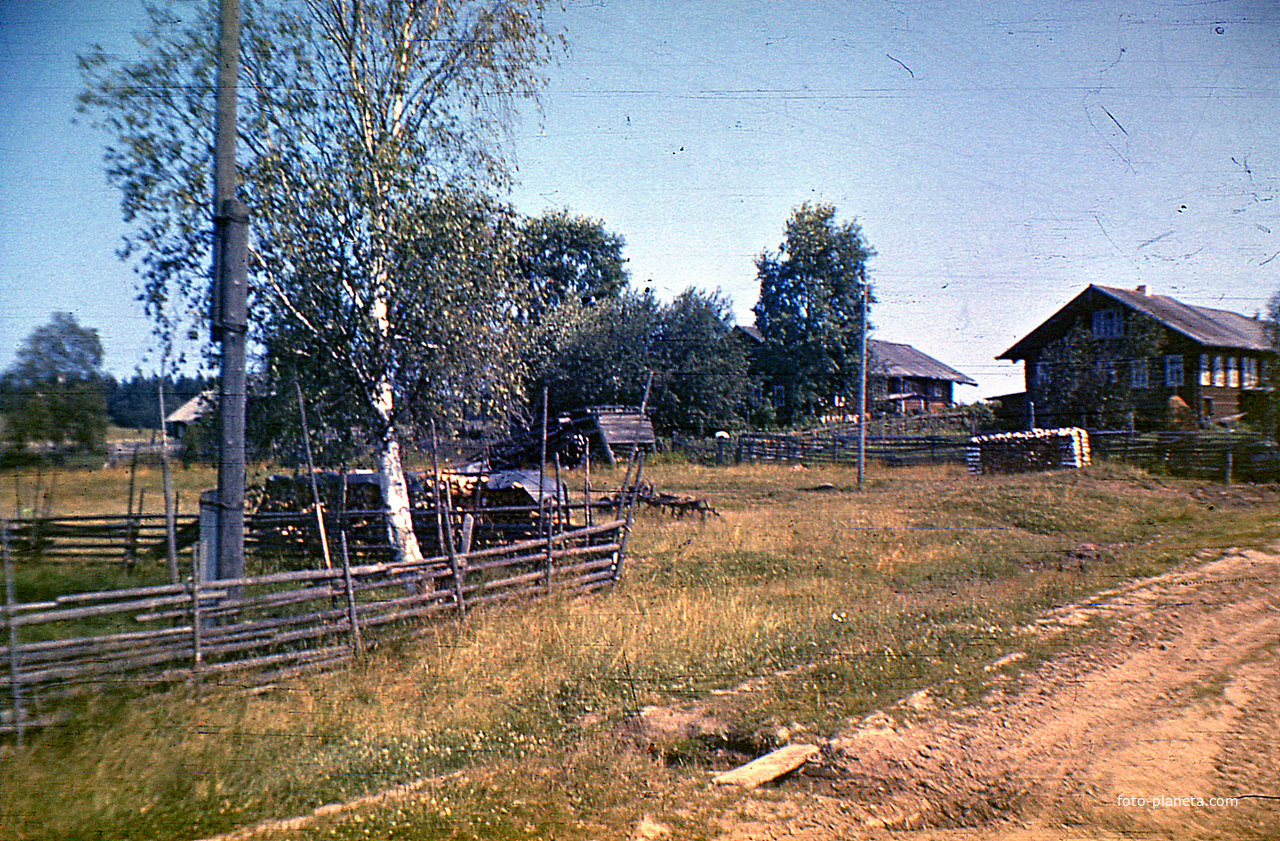 Деревня Петраково, Устьянский район, Архангельская область