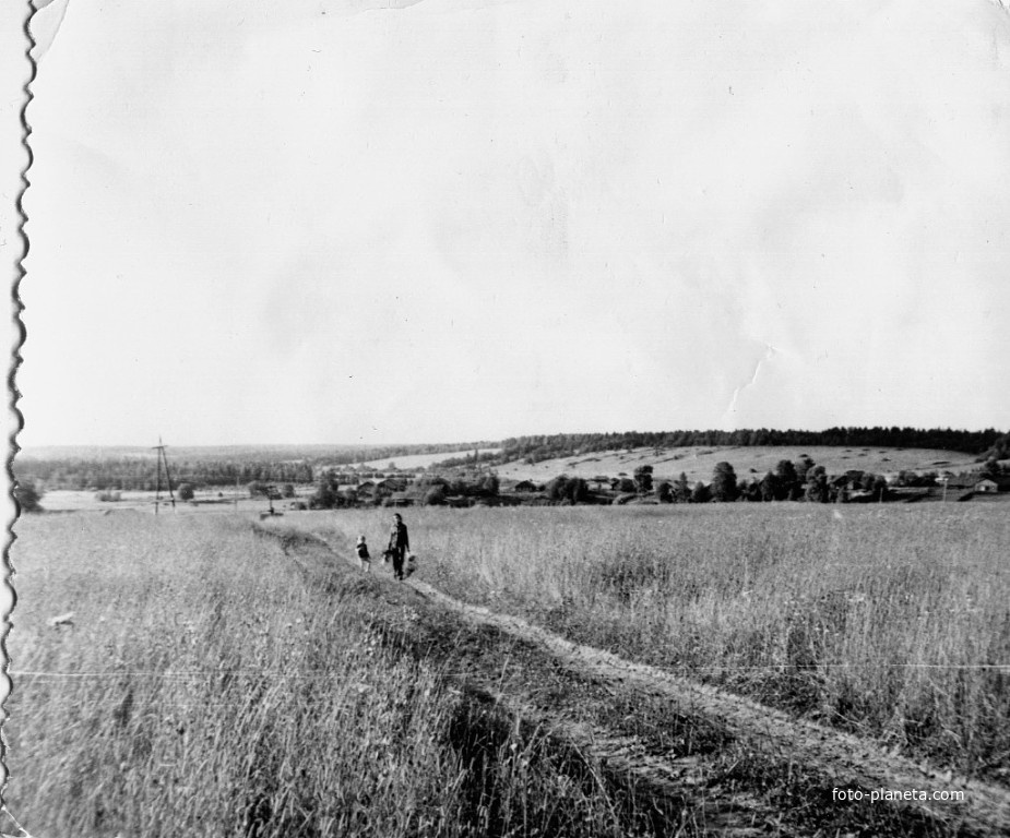 Деревня Петраково, Устьянский район, Архангельская область