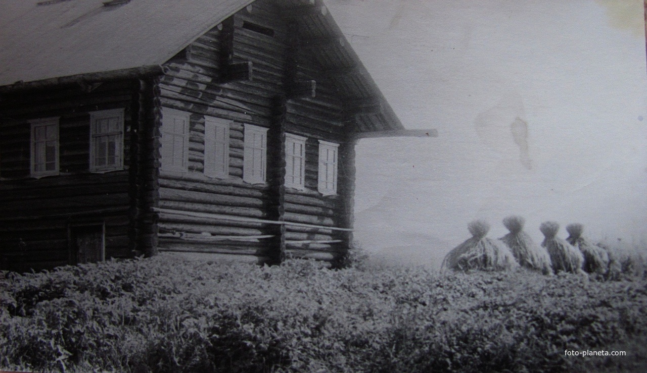 Деревня Петраково, Устьянский район, Архангельская область