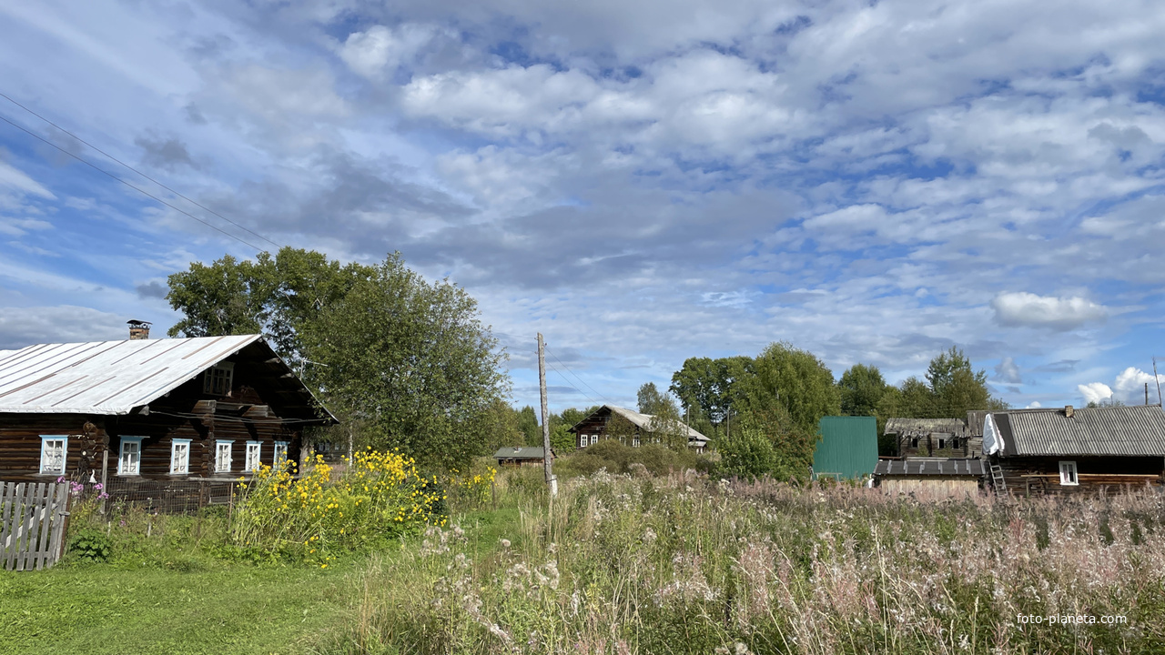Деревня Петраково, Устьянский район, Архангельская область 2025 год