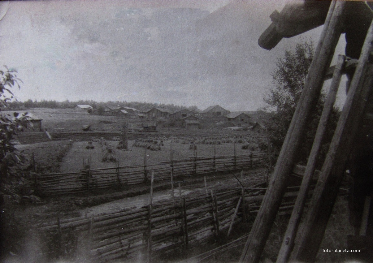 Деревня Петраково, Устьянский район, Архангельская область