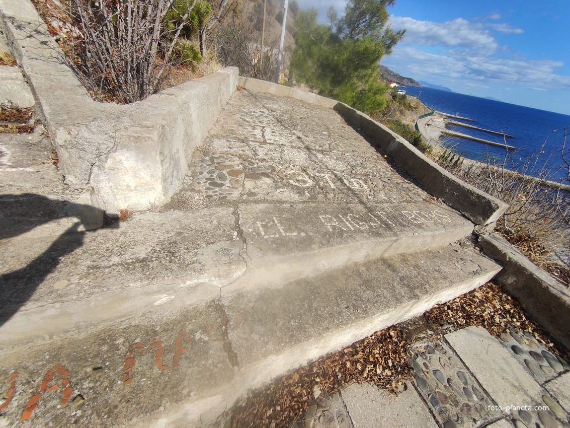 На территории СОСЛ МЭИ "Алушта". На "Потёмкинской лестнице".