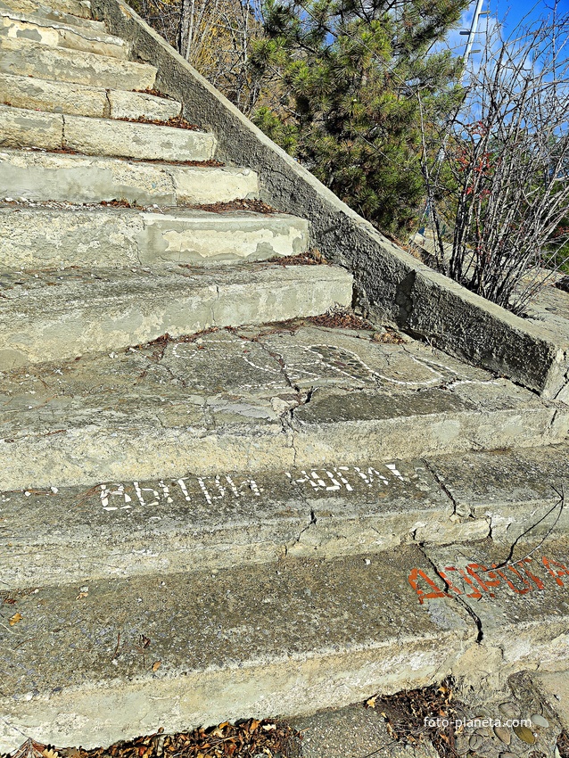 На территории СОСЛ МЭИ "Алушта". На "Потёмкинской лестнице".