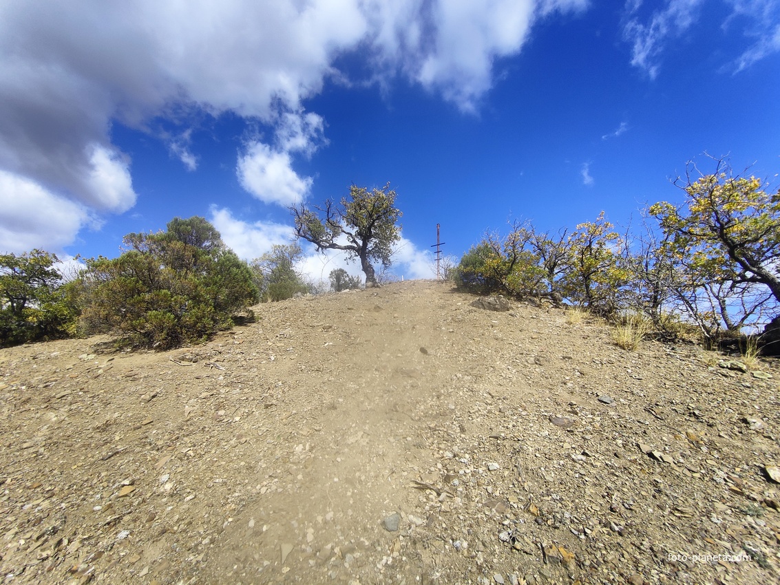"Марсианская тропа" к вершине одного из холмов на территории СОСЛ МЭИ "Алушта".