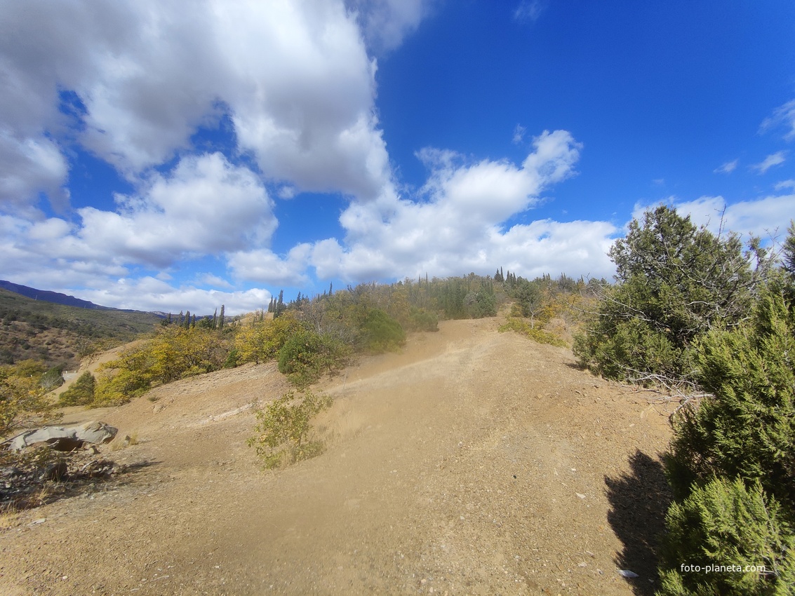 Урочище Малое Семидворье на холмах и склонах балки Сотера над территорией лагеря МЭИ.