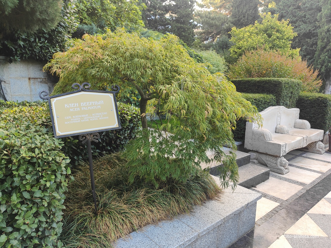 Парк «Айвазовское» — ландшафтный парк на берегу Чёрного моря. Расположен у подножия Медведь-горы в посёлке.