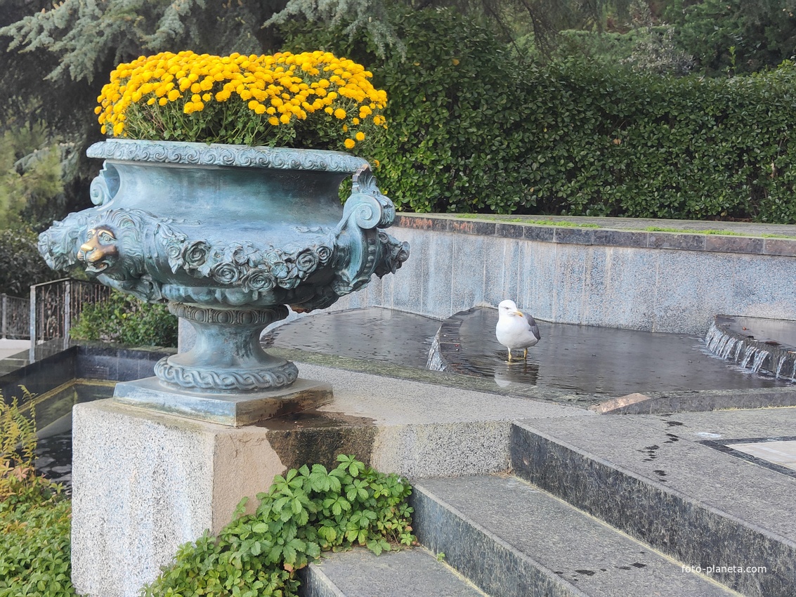 Парк «Айвазовское» — ландшафтный парк на берегу Чёрного моря. Расположен у подножия Медведь-горы в посёлке. Лестница Раевского (лестница искусств). Слева - Каскадный  водопад. и живая чайка.