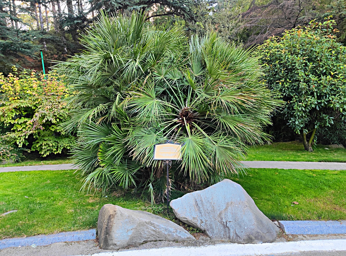 Парк «Айвазовское» — ландшафтный парк на берегу Чёрного моря. Расположен у подножия Медведь-горы в посёлке.