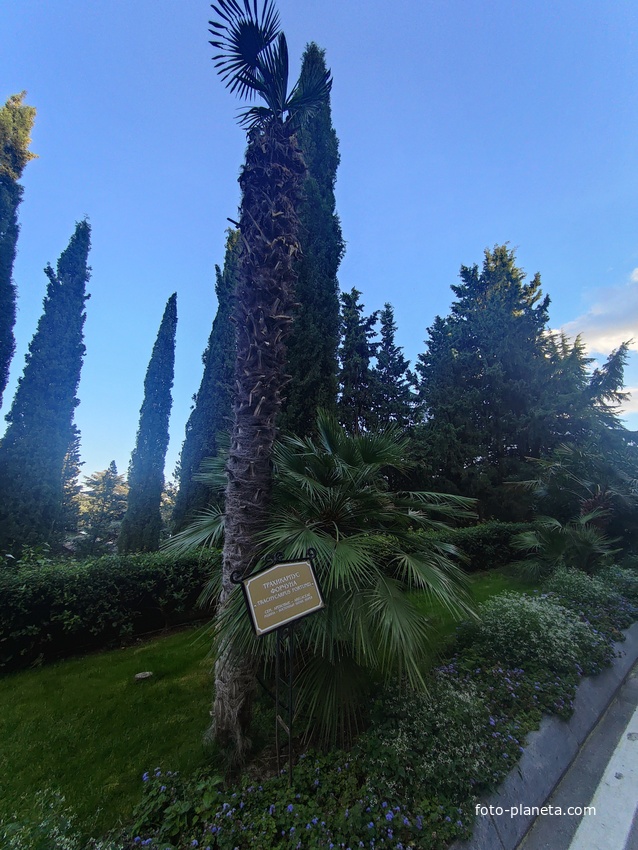 Парк «Айвазовское» — ландшафтный парк на берегу Чёрного моря. Расположен у подножия Медведь-горы в посёлке.