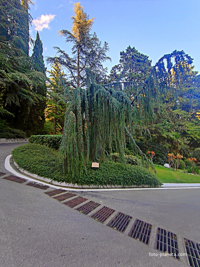 Парк «Айвазовское» — ландшафтный парк на берегу Чёрного моря. Расположен у подножия Медведь-горы в посёлке.