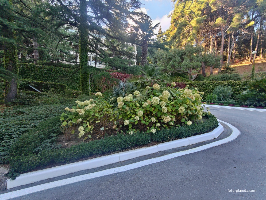 Парк «Айвазовское» — ландшафтный парк на берегу Чёрного моря. Расположен у подножия Медведь-горы в посёлке.