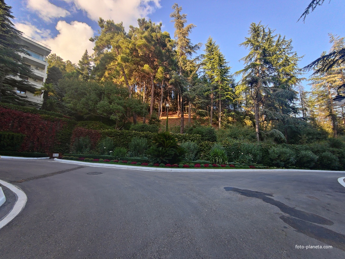 Парк «Айвазовское» — ландшафтный парк на берегу Чёрного моря. Расположен у подножия Медведь-горы в посёлке.