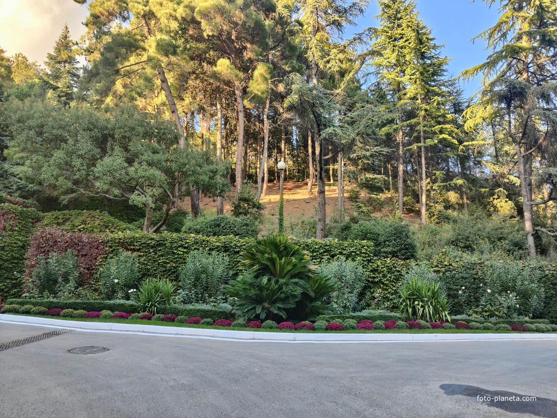 Парк «Айвазовское» — ландшафтный парк на берегу Чёрного моря. Расположен у подножия Медведь-горы в посёлке.