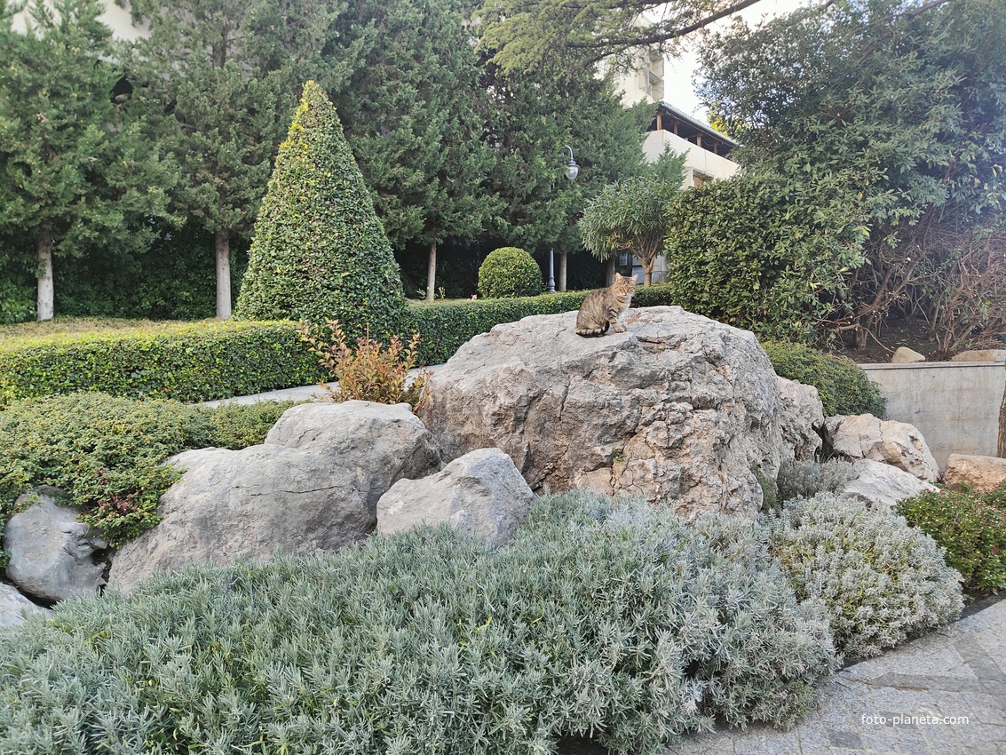 Парк «Айвазовское» — ландшафтный парк на берегу Чёрного моря. Расположен у подножия Медведь-горы в посёлке.