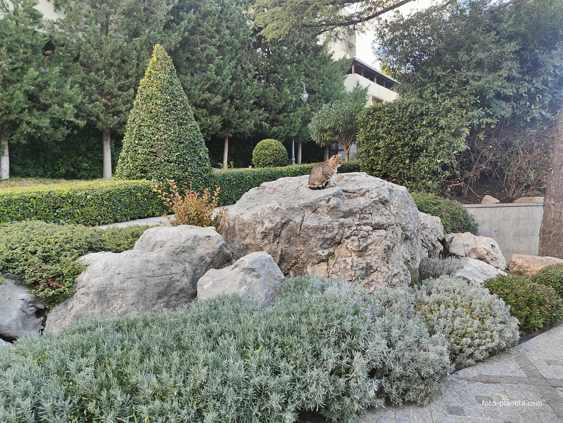 Парк «Айвазовское» — ландшафтный парк на берегу Чёрного моря. Расположен у подножия Медведь-горы в посёлке.