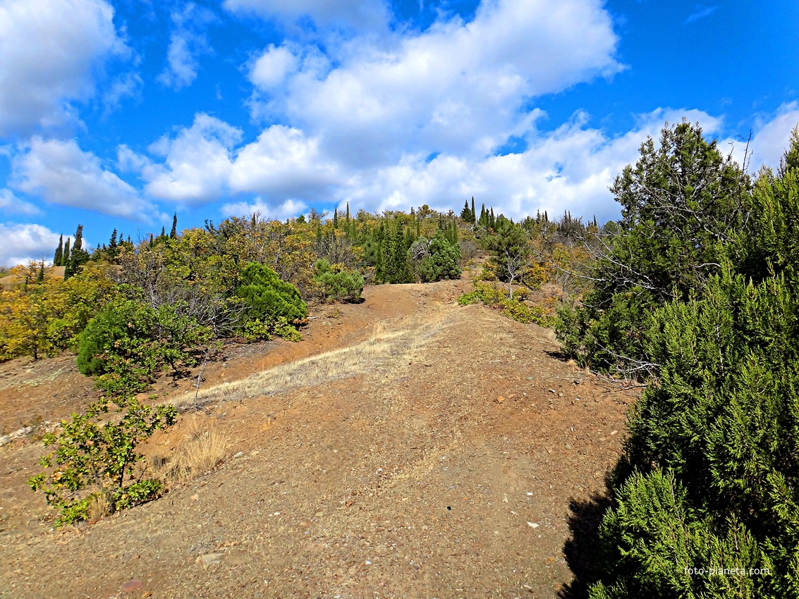 Урочище Малое Семидворье на холмах и склонах балки Сотера над территорией лагеря МЭИ.