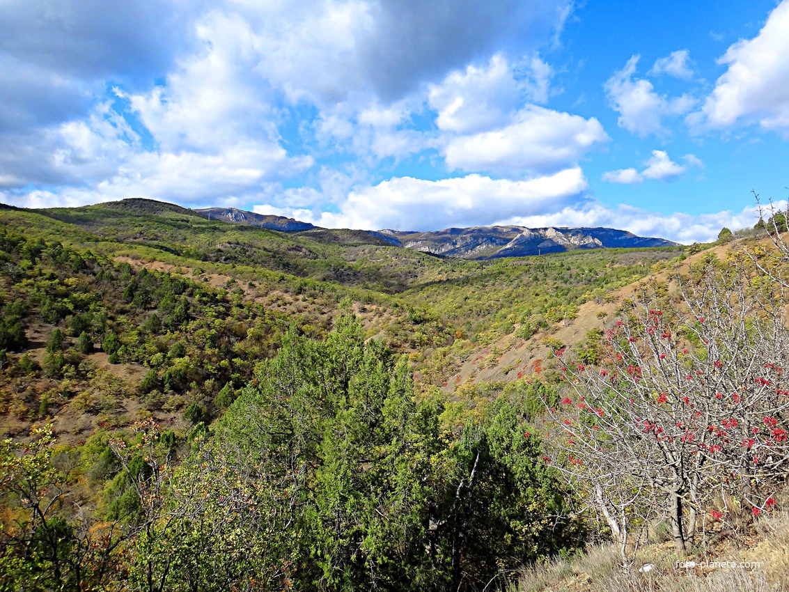 Урочище Малое Семидворье на холмах и склонах балки Сотера. Вдали - гора Демерджи.