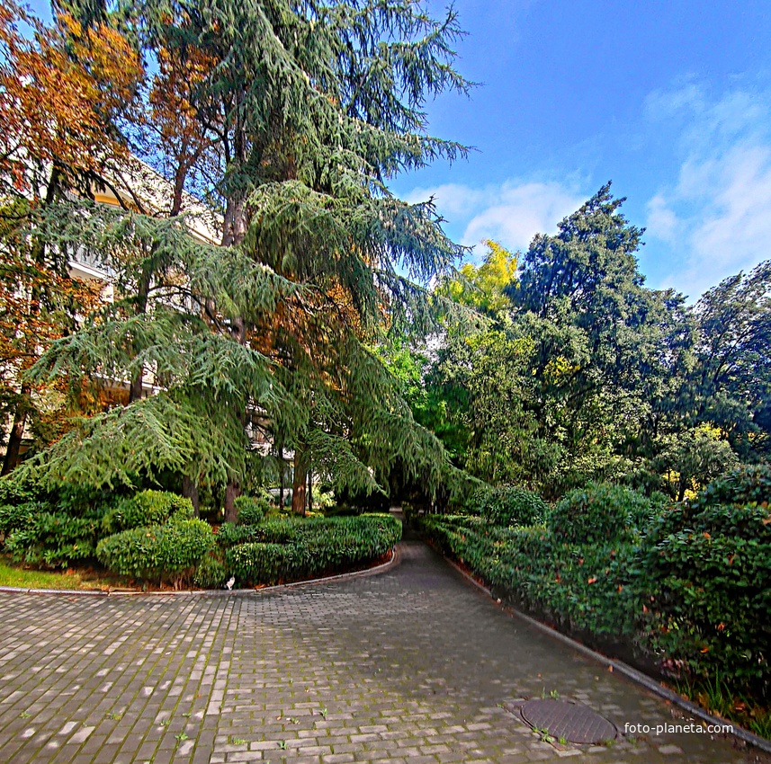 Парк на территории санатория «Пушкино» — памятник садово-парковой архитектуры начала XIX века.