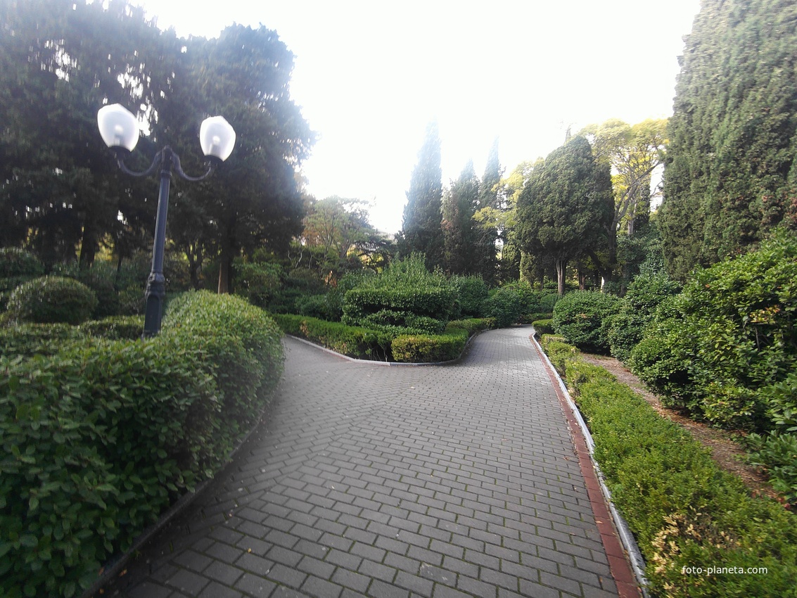 Парк на территории санатория «Пушкино» — памятник садово-парковой архитектуры начала XIX века.