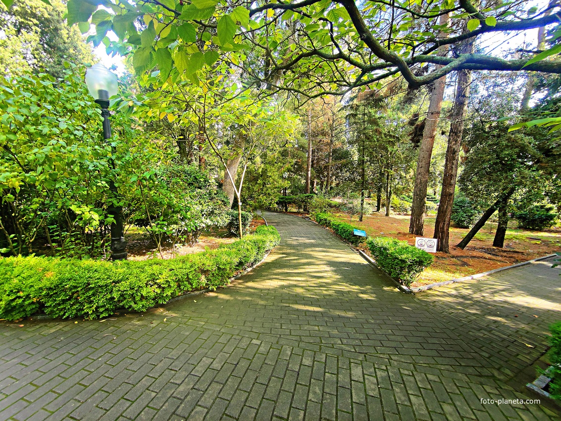 Парк на территории санатория «Пушкино» — памятник садово-парковой архитектуры начала XIX века.