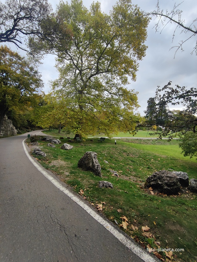 Массандровский дворцово-парковый ансамбль. Парк был заложен в 1822 году на месте грабового леса немецким садовником Карлом Кебахом.