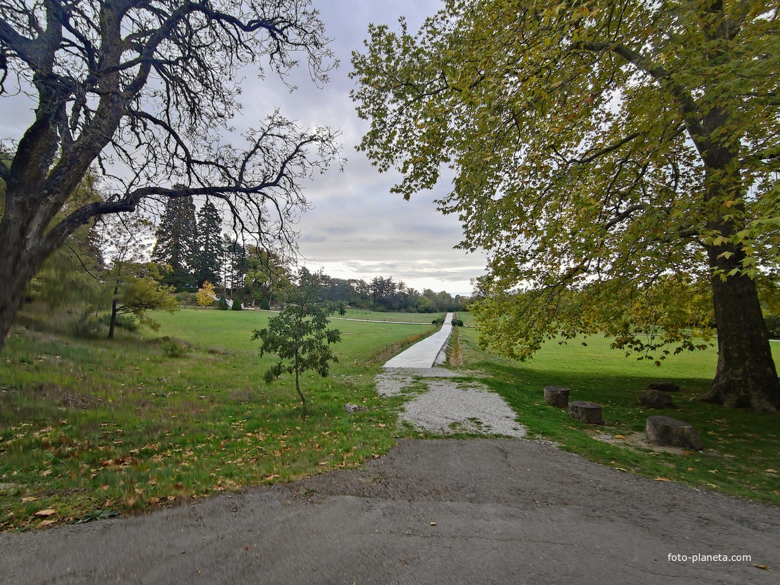 Массандровский дворцово-парковый ансамбль. Парк был заложен в 1822 году на месте грабового леса немецким садовником Карлом Кебахом.