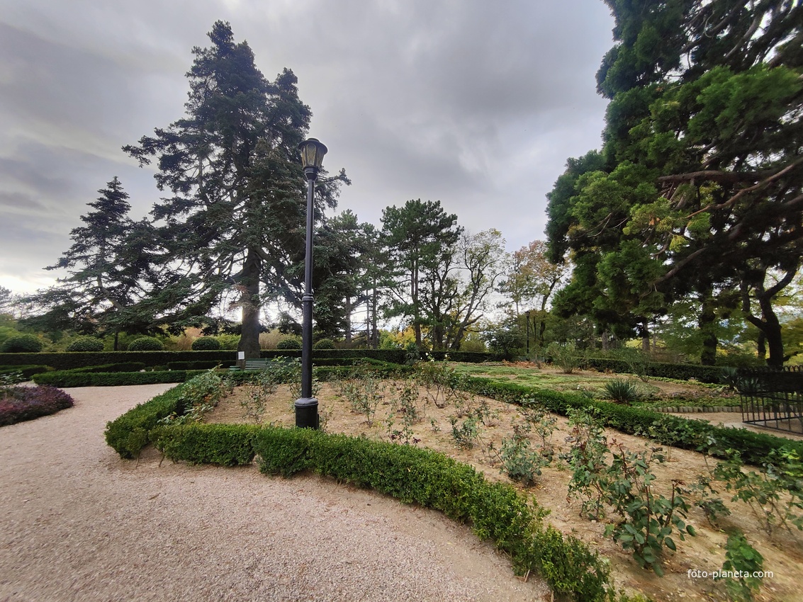 Массандровский дворцово-парковый ансамбль. Парк был заложен в 1822 году на месте грабового леса немецким садовником Карлом Кебахом.