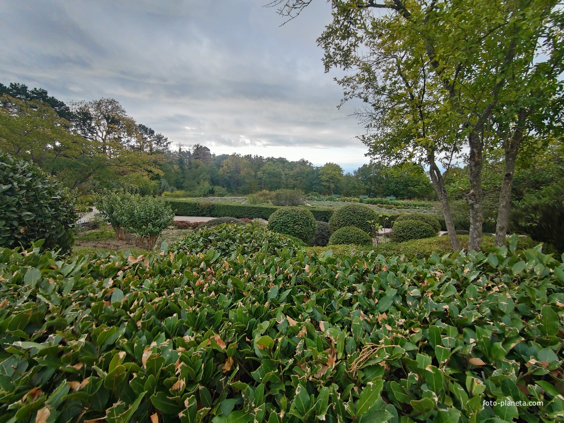 Массандровский дворцово-парковый ансамбль. Парк был заложен в 1822 году на месте грабового леса немецким садовником Карлом Кебахом.