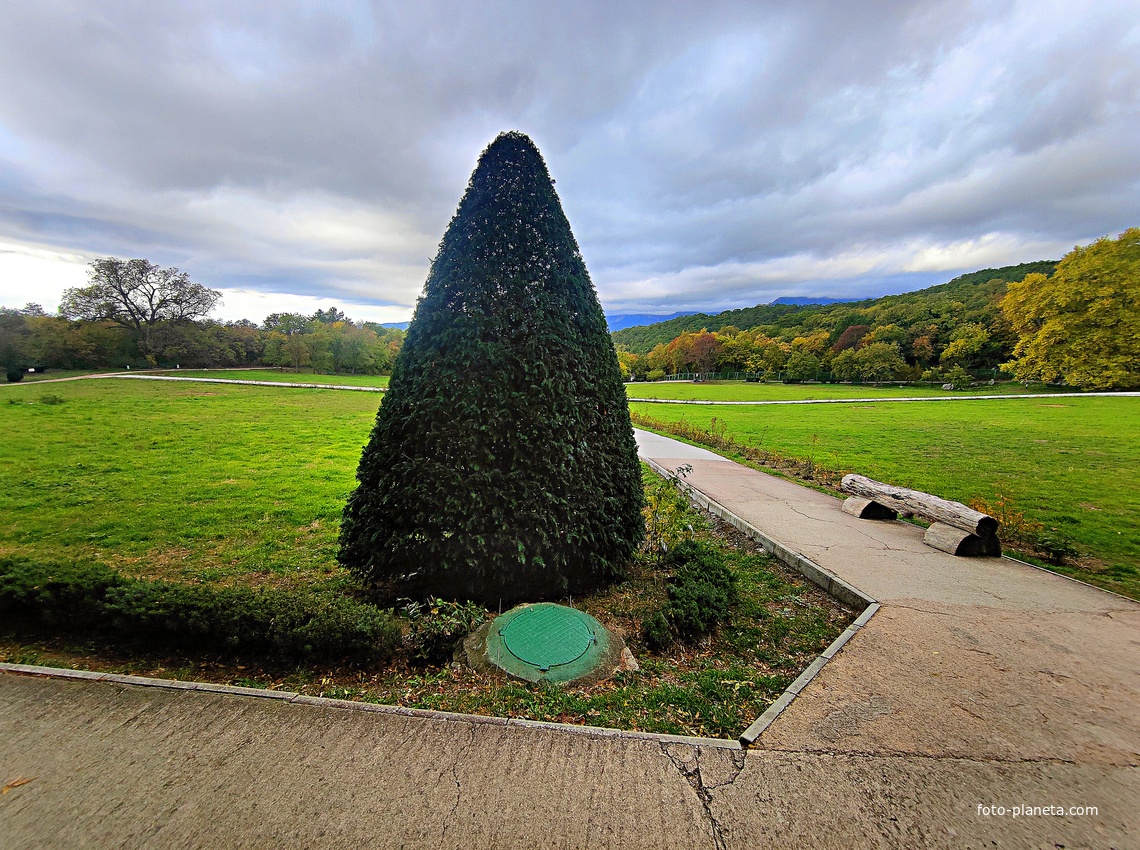 Массандровский дворцово-парковый ансамбль. Парк был заложен в 1822 году на месте грабового леса немецким садовником Карлом Кебахом.