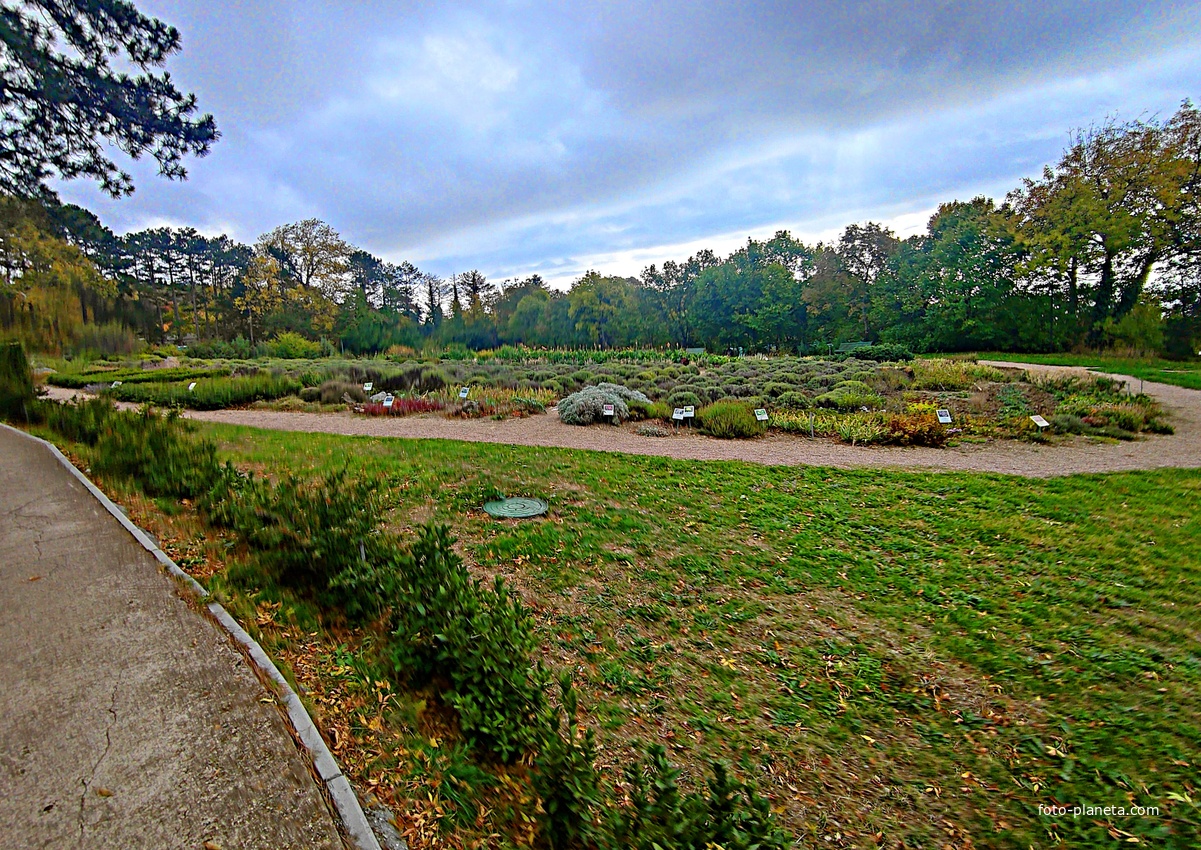 Массандровский дворцово-парковый ансамбль. Парк был заложен в 1822 году на месте грабового леса немецким садовником Карлом Кебахом.