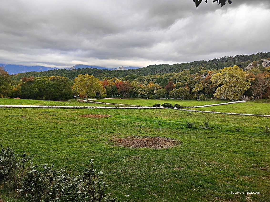 Массандровский дворцово-парковый ансамбль. Парк был заложен в 1822 году на месте грабового леса немецким садовником Карлом Кебахом.