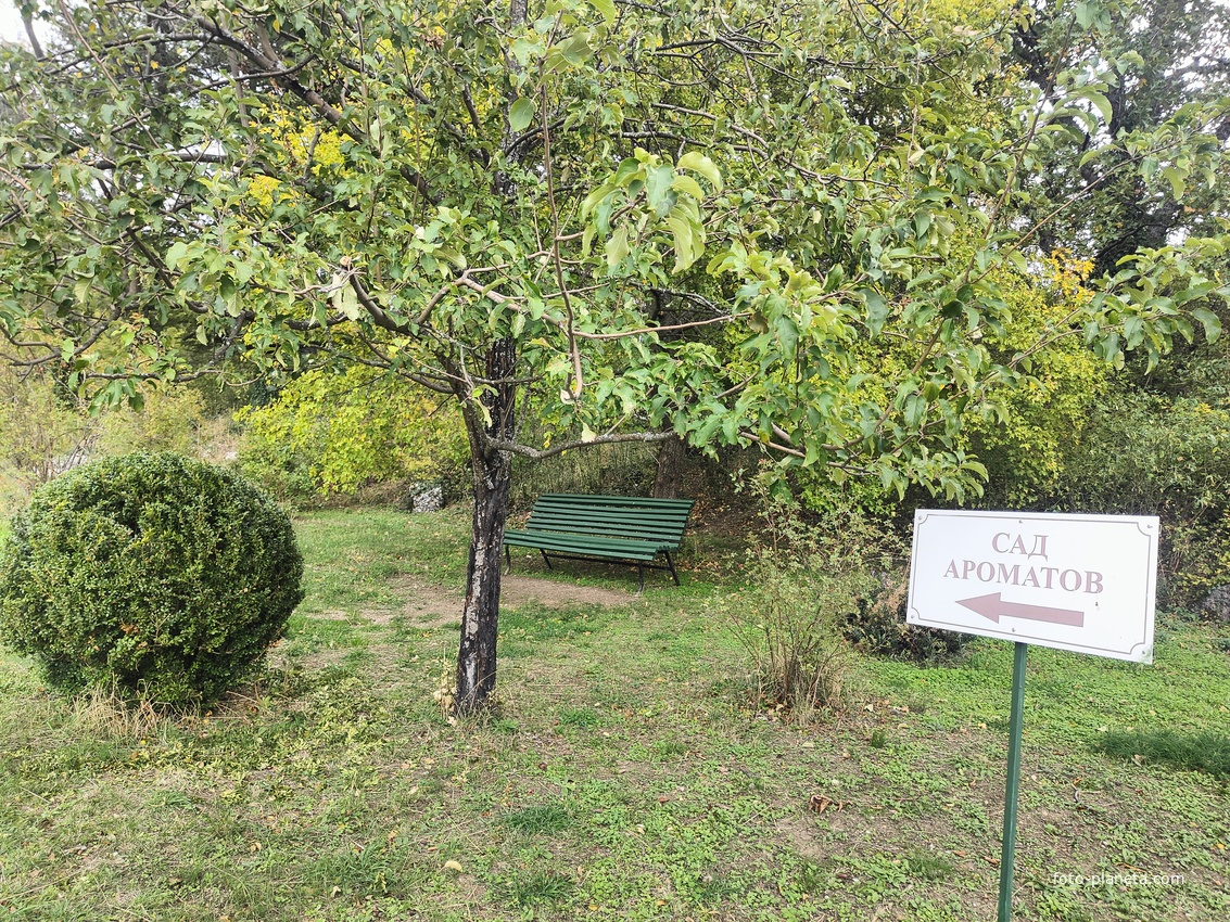 Массандровский дворцово-парковый ансамбль. Парк был заложен в 1822 году на месте грабового леса немецким садовником Карлом Кебахом.