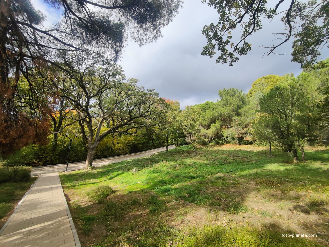 Парк-памятник садово-паркового искусства "Массандровский".  Заложен в 40-х годах XIX в. Автором первоначальной планировки был немецкий садовник К. Кебах. Создан в английском ландшафтном стиле, концепцией которого является максимальная естественность.