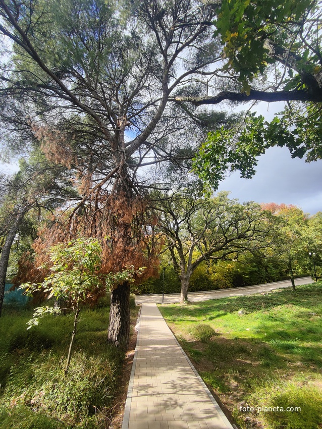 Парк-памятник садово-паркового искусства "Массандровский".  Заложен в 40-х годах XIX в. Автором первоначальной планировки был немецкий садовник К. Кебах. Создан в английском ландшафтном стиле, концепцией которого является максимальная естественность.