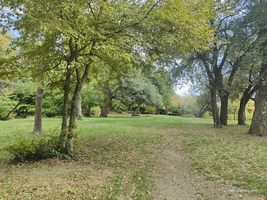 Парк-памятник садово-паркового искусства "Массандровский".  Заложен в 40-х гг. XIX в. Автор первоначальной планировки - немецкий садовник К. Кебах. Создан в английском ландшафтном стиле максимальной естественности.