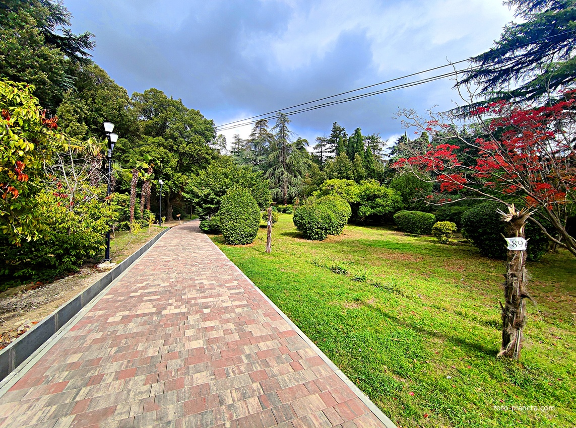 Парк-памятник садово-паркового искусства "Массандровский".  Заложен в 40-х гг. XIX в. Автор первоначальной планировки - немецкий садовник К. Кебах. Создан в английском ландшафтном стиле максимальной естественности. Пальмовая аллея.