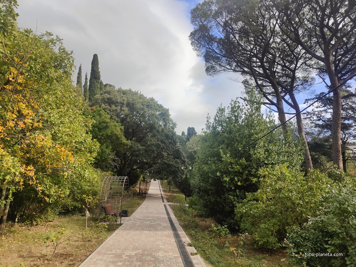 Парк-памятник садово-парков. искусства "Массандровский".  Заложен в 40-х гг. XIX в. Автор первонач. планировки - немецкий садовник К. Кебах. Создан в английском ландшафтном стиле максимальной естественности. Ажурные металлические арки над лавочками.