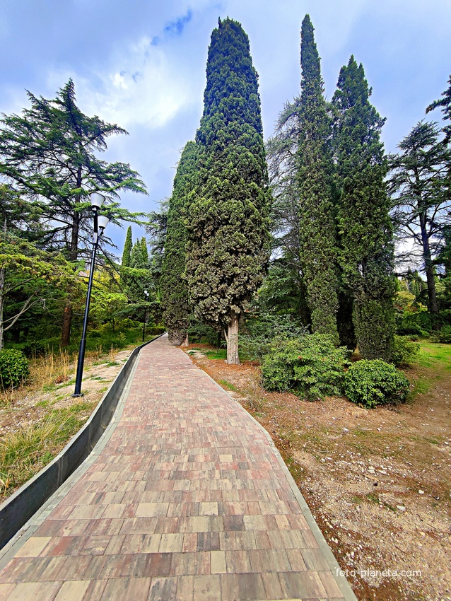 Парк-памятник садово-паркового искусства "Массандровский".  Заложен в 40-х гг. XIX в. Автор первоначальной планировки - немецкий садовник К. Кебах. Создан в английском ландшафтном стиле максимальной естественности.