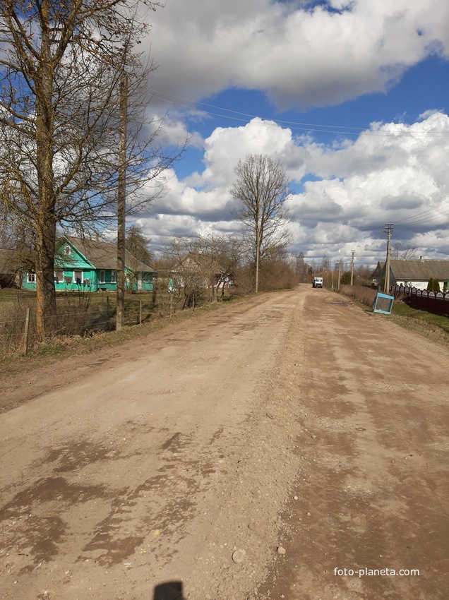Д. Лозичи. Деревенская улица. 2020г.